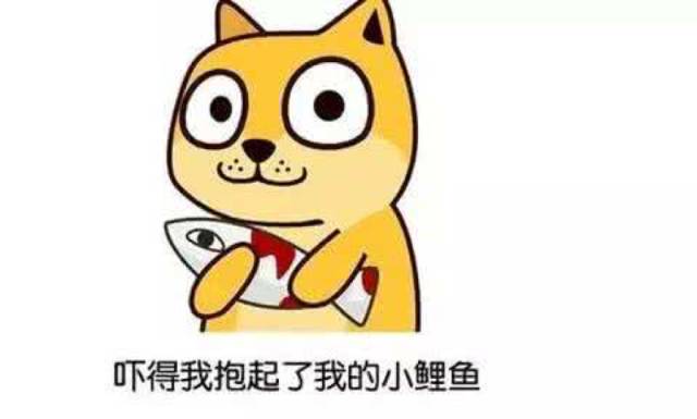 flowerplus怎么了,flowerplus花加女神节