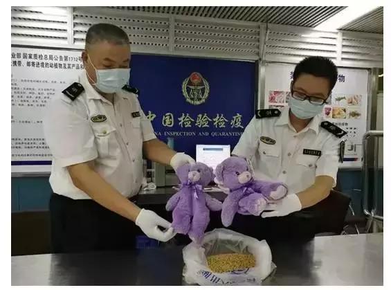 回国哪些东西不能带,回国带东西千万要谨慎