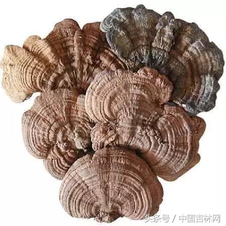 到吉林玩买啥、吃啥？再也不用刘烨代购吉林土特产了！