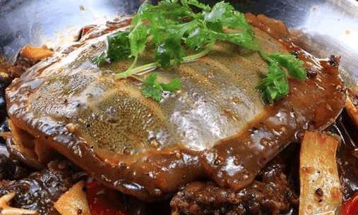 甲鱼算不算海鲜忌口食物,甲鱼是补品