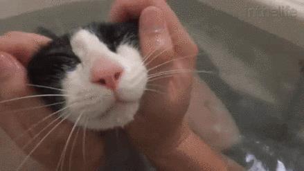 你们那管洗澡搓下来的泥叫什么？我们这叫“人渣”