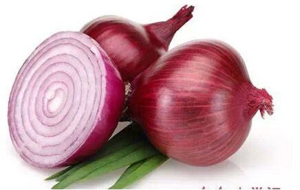 洋葱对男性有好处吗,洋葱对男性好处