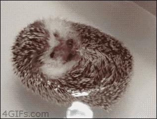 你们那管洗澡搓下来的泥叫什么？我们这叫“人渣”