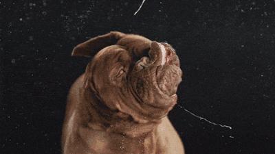 你们那管洗澡搓下来的泥叫什么？我们这叫“人渣”