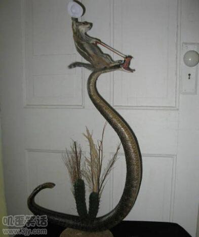 女朋友突然把我激怒,女朋友彻底激怒我了