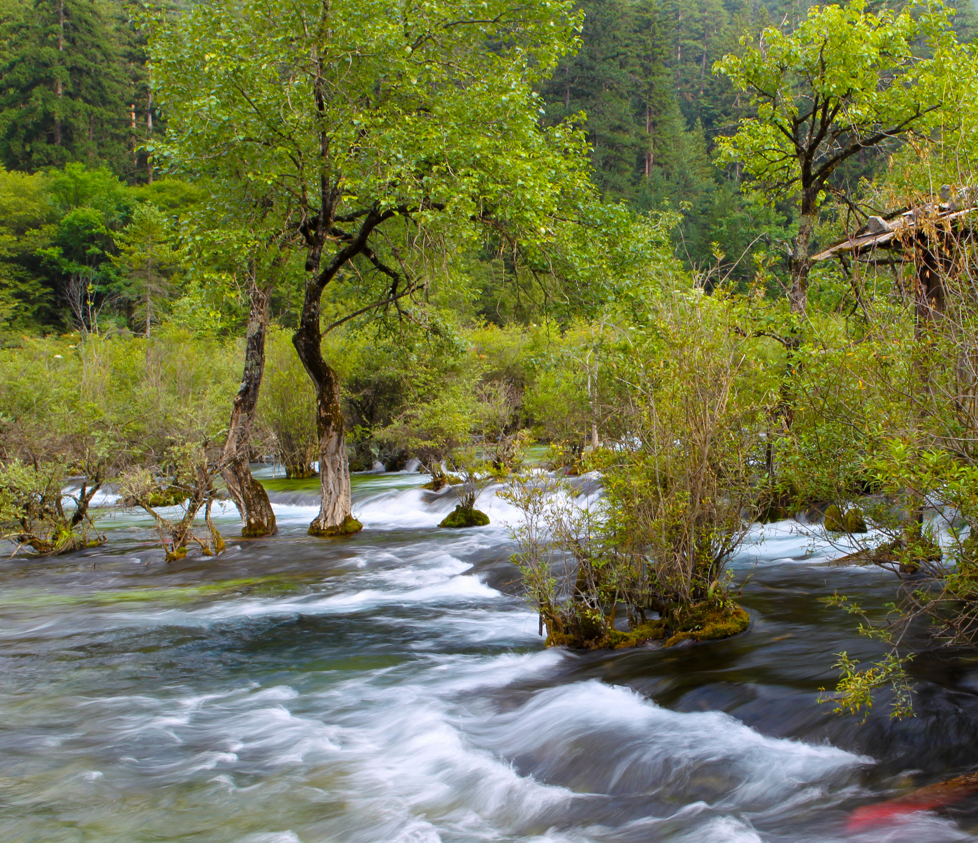 地震前的九寨沟美景,航拍地震前九寨沟所有景点