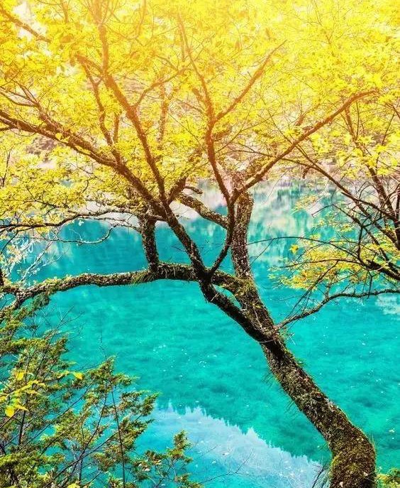 金山岭长城最美时间,金山岭长城风景哪段最美