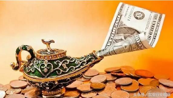 高端农业6大商业模式,农业创业五大经营模式