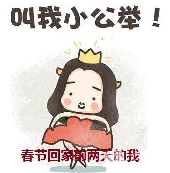 2017年十大流行语,2017年度十大网络流行语出炉