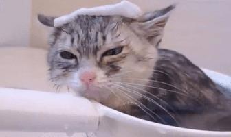 你们那管洗澡搓下来的泥叫什么？我们这叫“人渣”