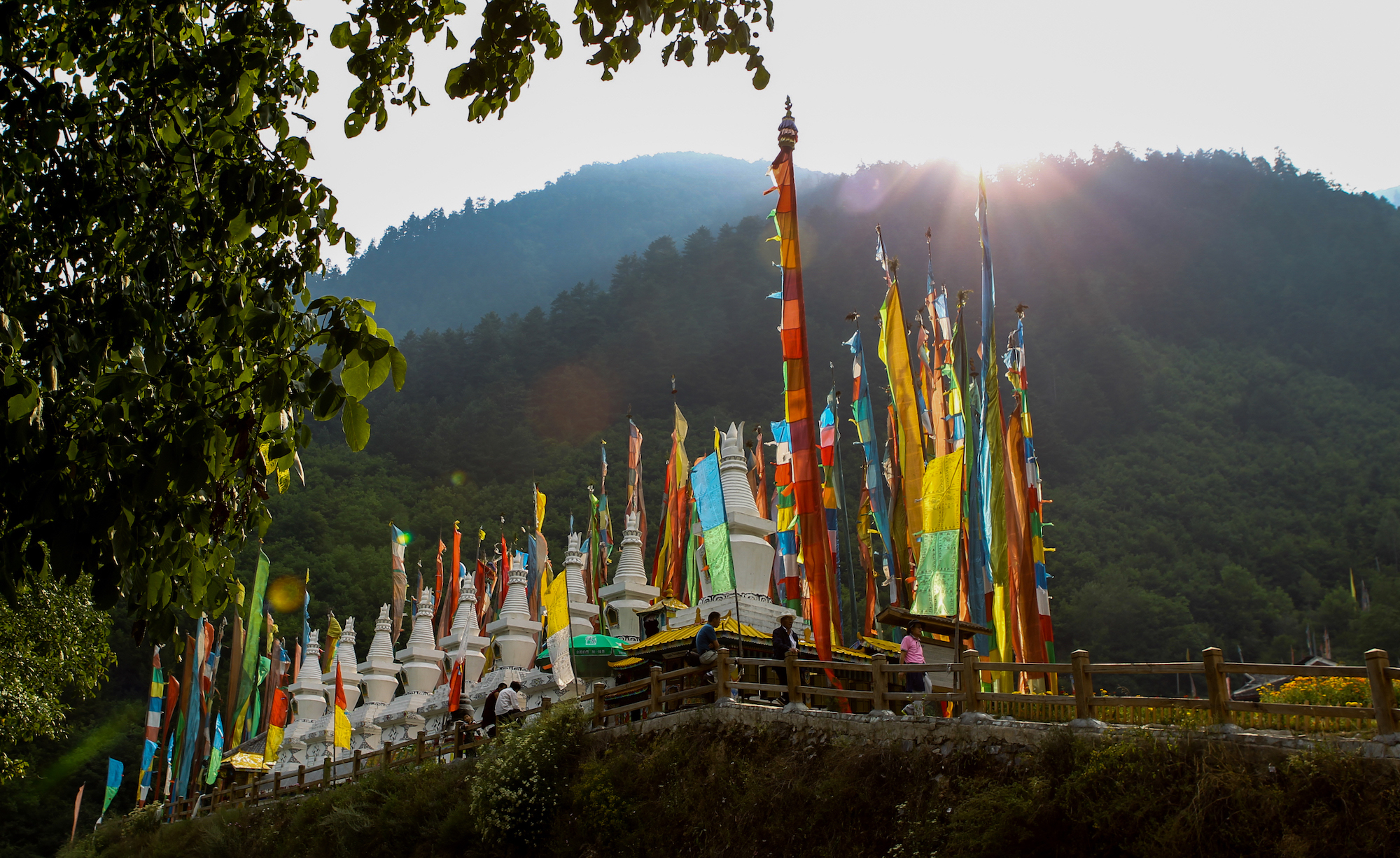 地震前的九寨沟美景,航拍地震前九寨沟所有景点