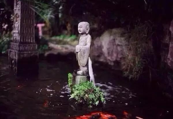 七情六欲是哪七情哪六欲具体解释,七情六欲是哪七情哪六欲图片