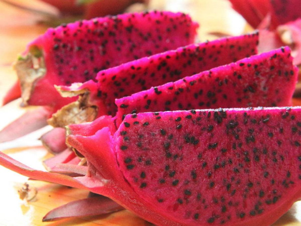 褐斑是什么样子的图片,褐斑简介