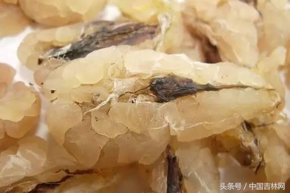 到吉林玩买啥、吃啥？再也不用刘烨代购吉林土特产了！