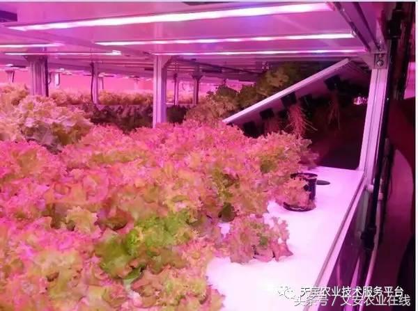 完整的土壤知识快收藏吧,土壤肥料基础知识