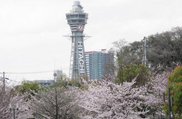 为什么初次来日本选大阪,为什么大家都去大阪不去东京