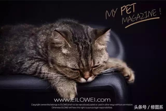 修图师会用哪些修图软件,修图师都用ps么