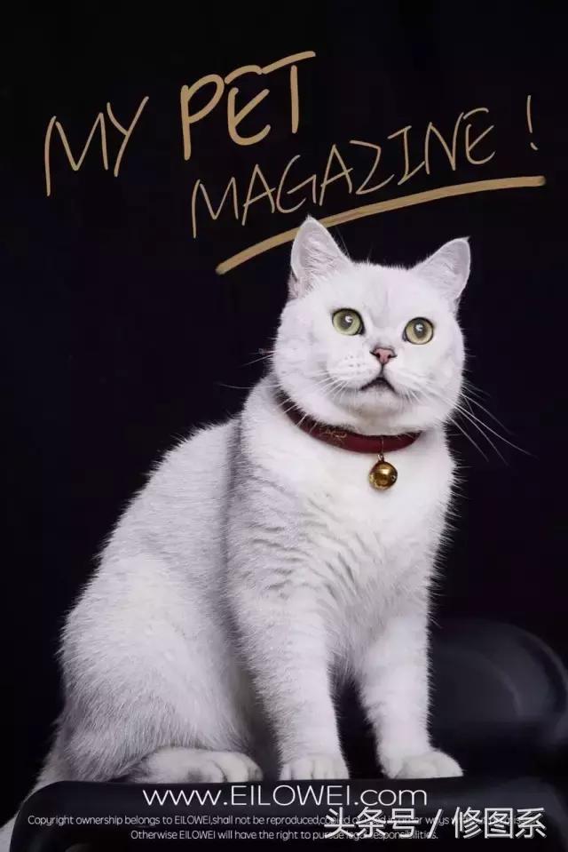 修图师会用哪些修图软件,修图师都用ps么