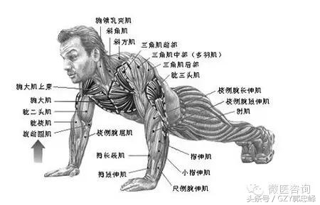 长期做俯卧撑能提高肾功能吗,做俯卧撑有锻炼肾的效果吗