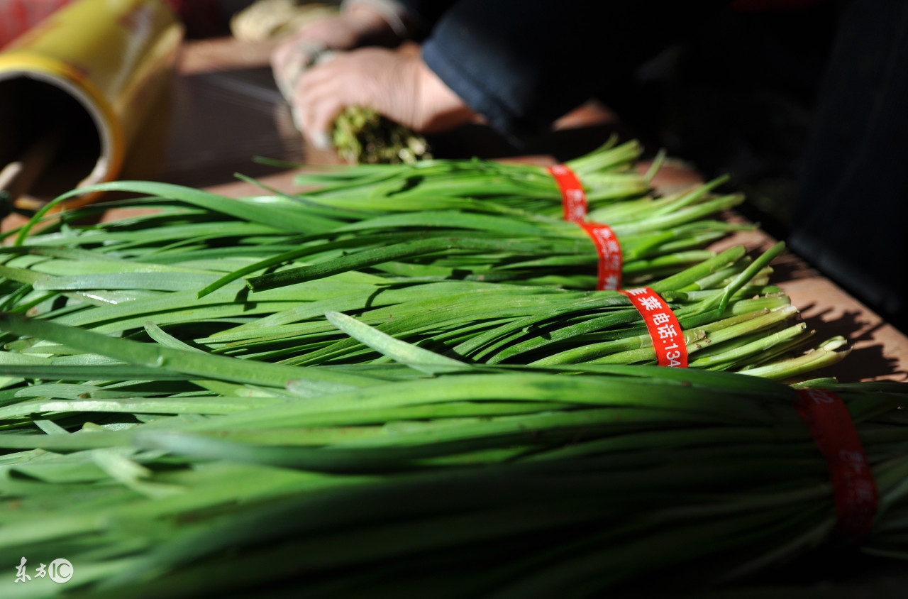 头茬韭菜有什么讲究,春天头茬韭菜不能食用是不是真的