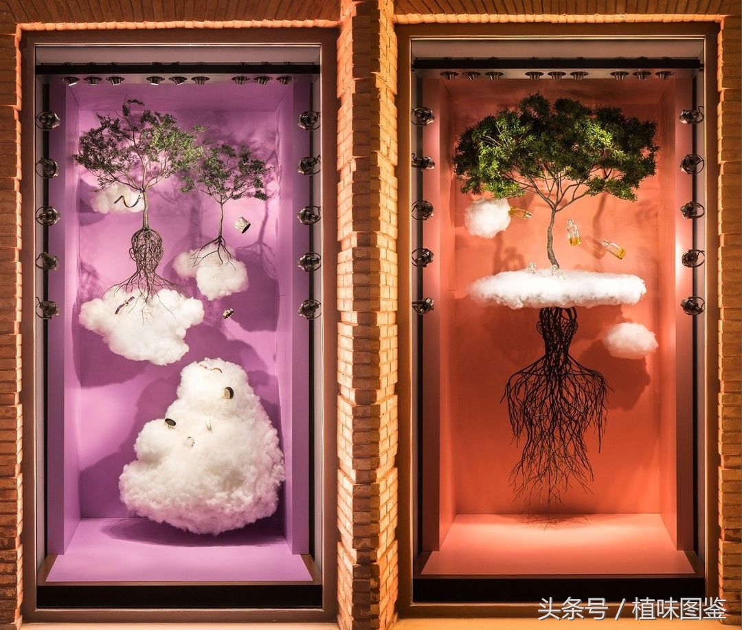 不出国门就能买到全球好物,不出家门看遍世界