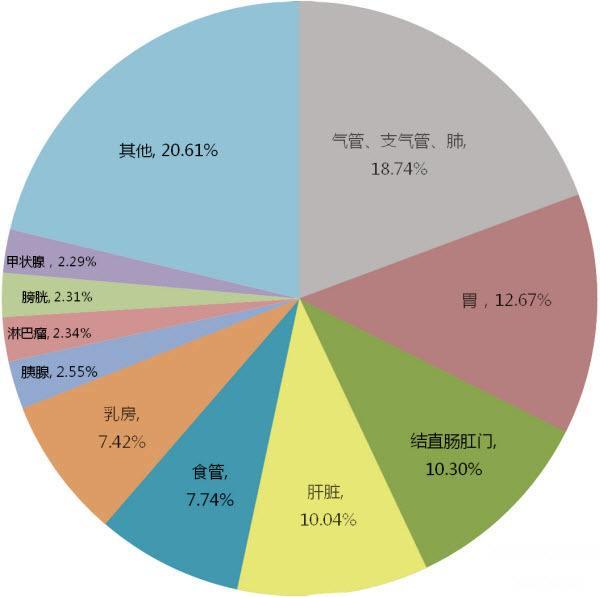 想知道自己身体是否有癌怎么检查,怀疑患了肿瘤怎么筛查最好