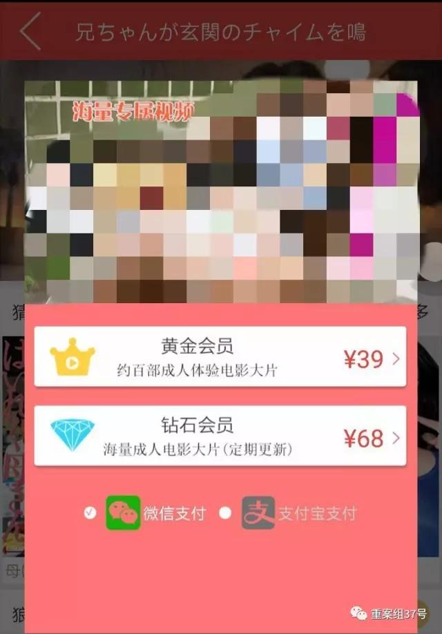 揭涉黄APP*局骗**：20秒小电影作幌骗充值年入7个亿