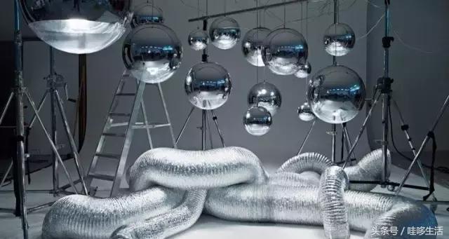 帅气台风贝斯,贝斯帅气