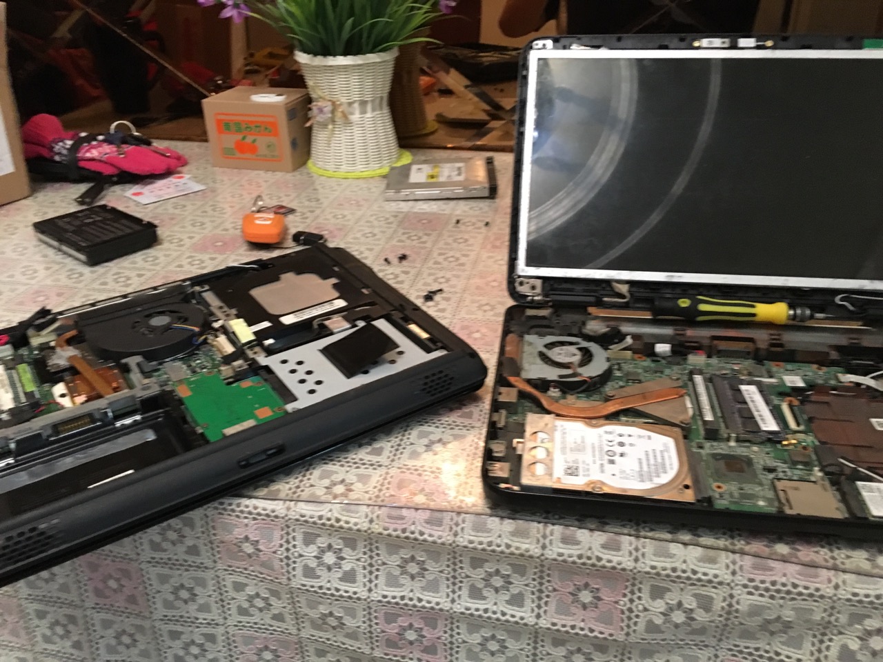 笔记本电脑显卡烧了修多少钱,笔记本电脑花屏维修教程