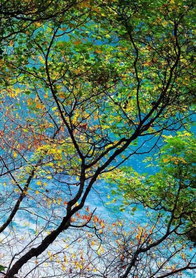 金山岭长城最美时间,金山岭长城风景哪段最美