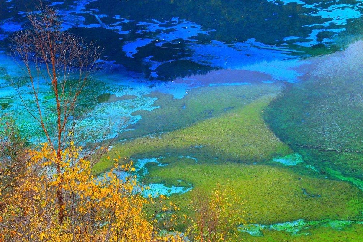 金山岭长城最美时间,金山岭长城风景哪段最美