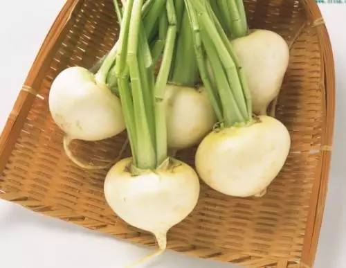 厨房里的中医中药,厨房里的中医养生