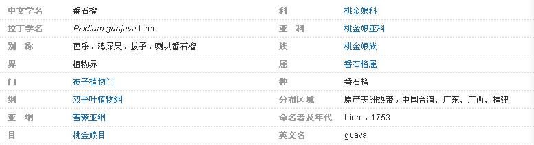 糖尿病打胰岛素和二甲双胍哪个好,治糖尿病二甲双胍和什么药配合好