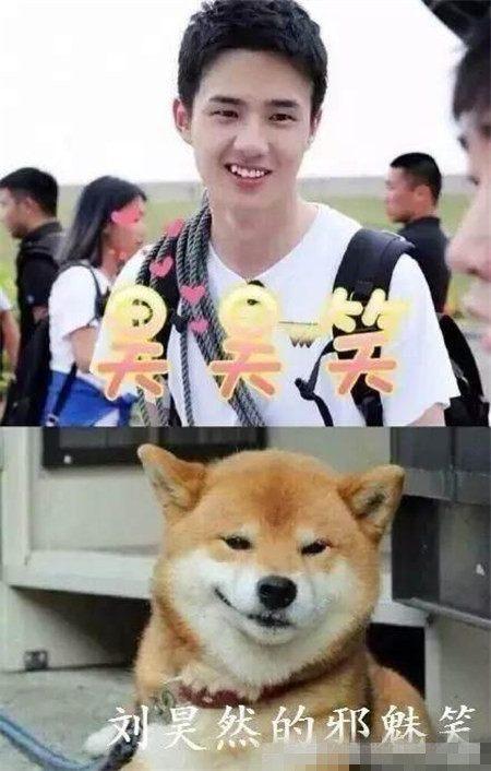 幽默搞笑世间没有解决不了的事,幽默风趣事情解决方法