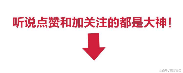 马尔代夫机场旅游攻略,马尔代夫度假选岛规则指南