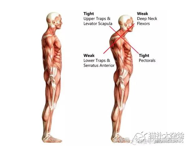 如何长高长下半身,如何再次长高长下半身