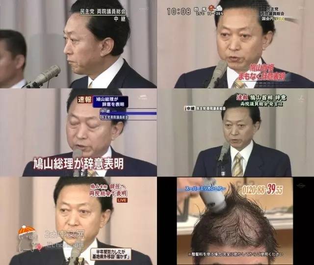 荐剧｜做不了最美花仙子，那就做一只最最欢脱的奇葩吧