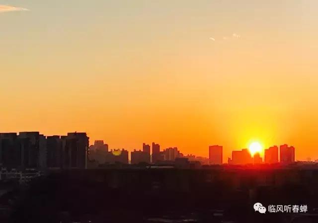 由地震引起灾害称什么灾害,地震时你第一个想到的人