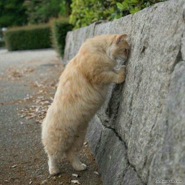 在常州月薪1万是个什么水平,在常州月收入多少才够生活