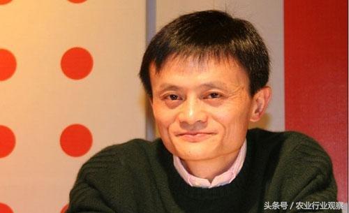 三农日报｜村淘S2B2C模式是何物；温氏发布养殖行业5点判断