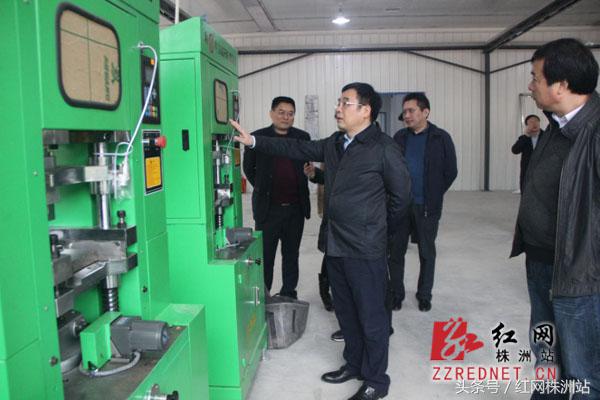 黄诗燕先进事迹醴陵,炎陵县委书记黄诗燕的先进事迹