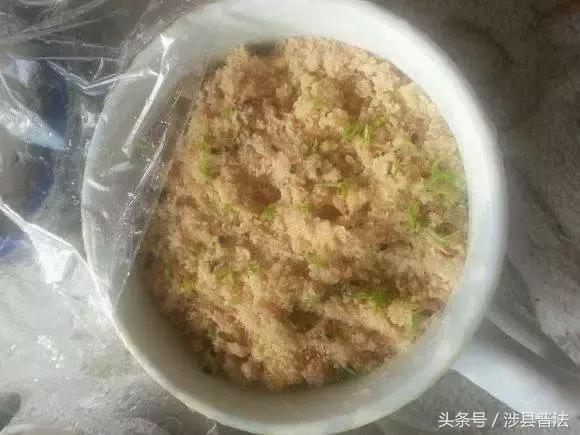 不用买营养土，这些“料”选一样加到花盆里，花大色艳叶片绿油油