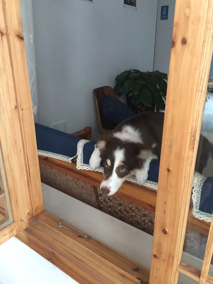 七天六晚长沙张家界吃货视角带你领略冰天雪地的张家