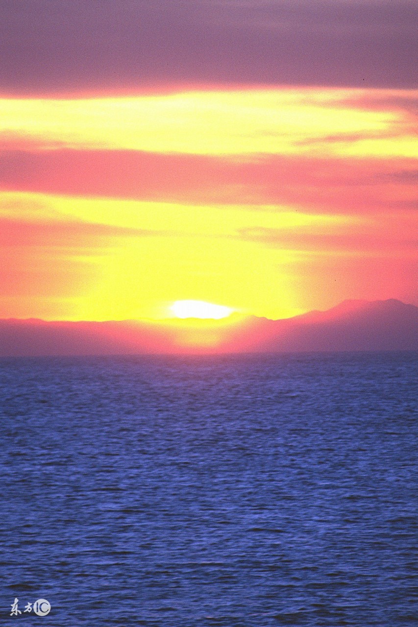 初三英语人教版第11单元,人教版初三英语各单元详解