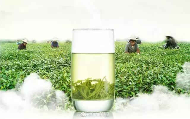 中国十大名茶的产地是哪里,中国十大名茶最新排名及价格