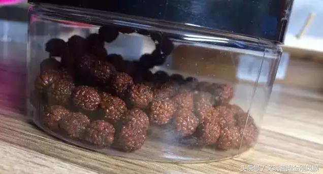 小金刚菩提清理到什么程度,小金刚菩提下水怎么清理