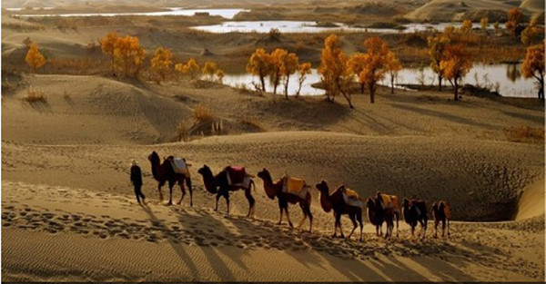 河南最刺激的景点,河南最贵的旅游景区
