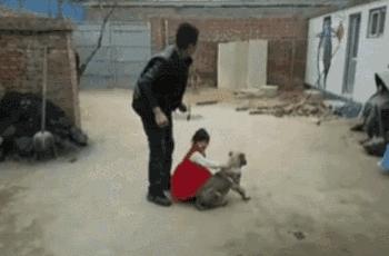 搞笑：商店老板养了只鹦鹉，吊在门口，顾客进门就说“欢迎光临