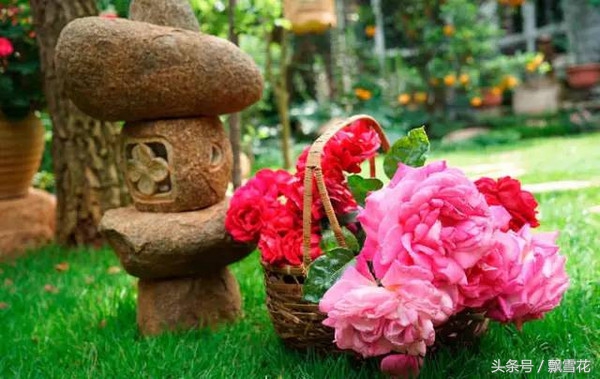 大理洱海风景杨丽萍的太阳宫,太阳宫杨丽萍酒店价格