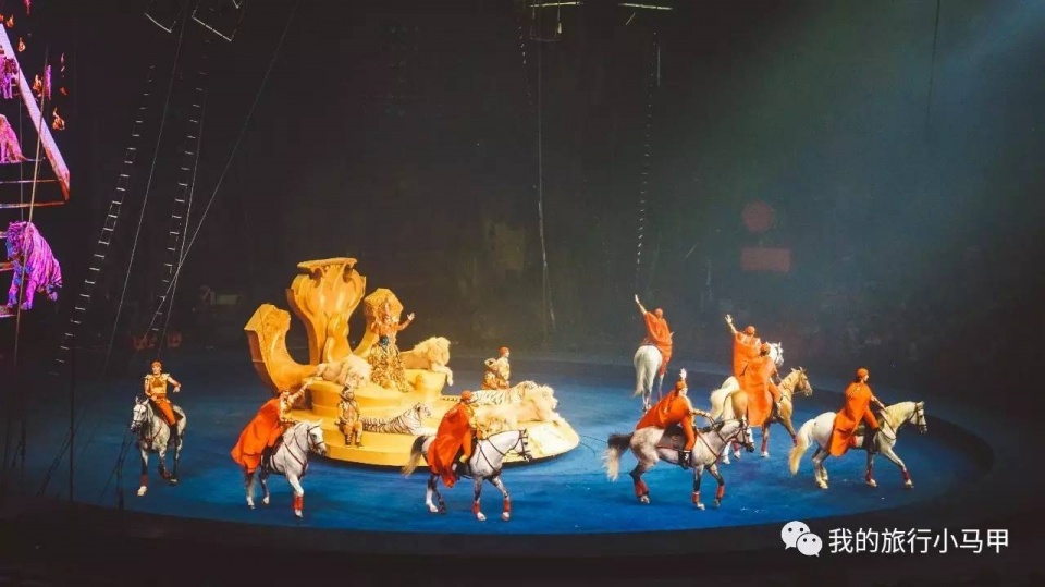 珠海长隆野生动物园旅游攻略,广州长隆自驾游旅游攻略